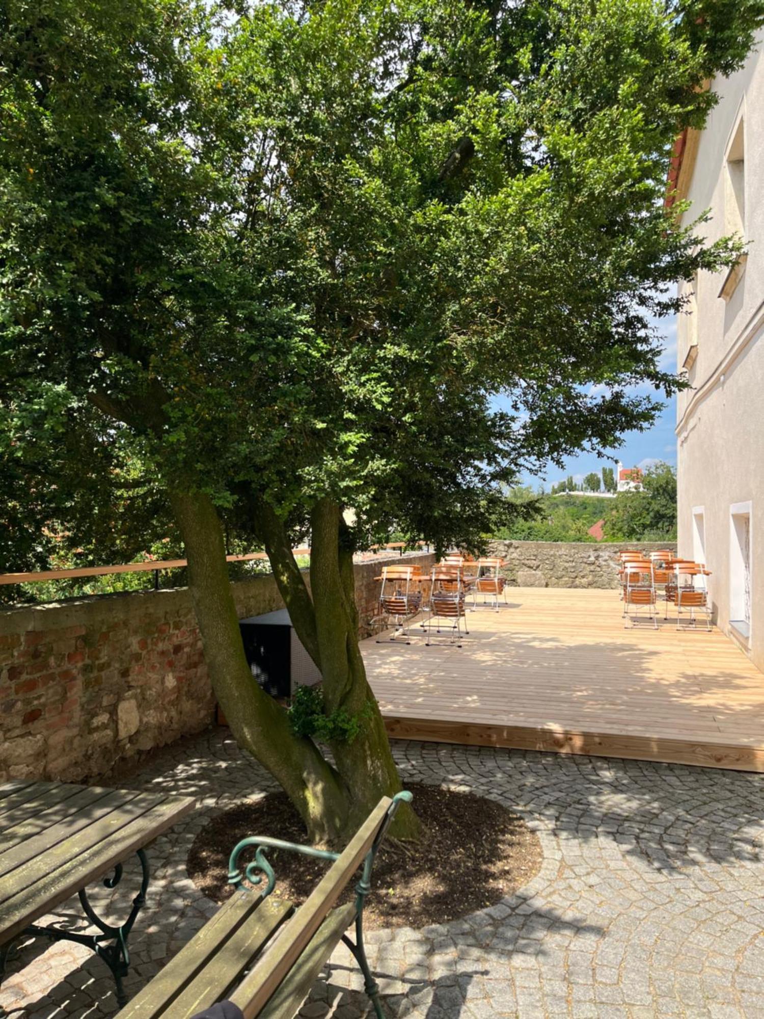 Schlosshotel Mailberg Kültér fotó